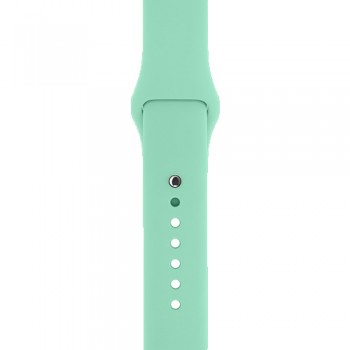 Ремінець для Apple Watch ArmorStandart Sport Band 42/41/40/38 Succulent