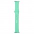 Ремінець для Apple Watch ArmorStandart Sport Band 42/41/40/38, м'ятний