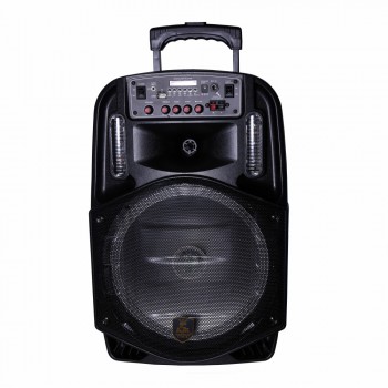 Bluetooth колонка Trolley Speaker CH-8612, автономна, FM-радіо, з мікрофонним входом