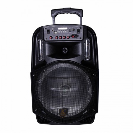 Bluetooth колонка Trolley Speaker CH-8612, автономна, FM-радіо, з мікрофонним входом