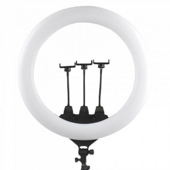 Кільцева лампа ZB-56 COLOR BOX RGB LED 56 см