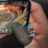 Напальчники для игр Phantom Finger Cots Red антискользящие дышащие