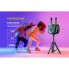 Портативная колонка Hopestar Party One UT 240W с микрофонами и RGB-подсветкой