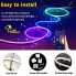 Светодиодная лента RGB Neon Rope 5м USB, гибкая, с пультом, IP67