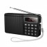 Портативное радио Bluetooth Veron PR30 1200 мАч FM AM