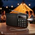 Портативное радио Bluetooth Veron PR30 1200 мАч FM AM